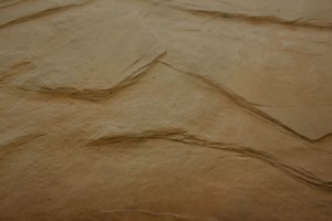 slate_paver slate_paver