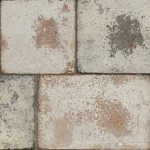 camino-blanco